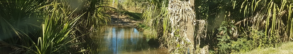 Herausforderungen annehmen! Hier die Durchquerung eines kleinen Wassers auf einer Nebenstrasse der Gibb River Road, einer der letzten abenteulichen Routen in Australien.    ©DRB-Partner                